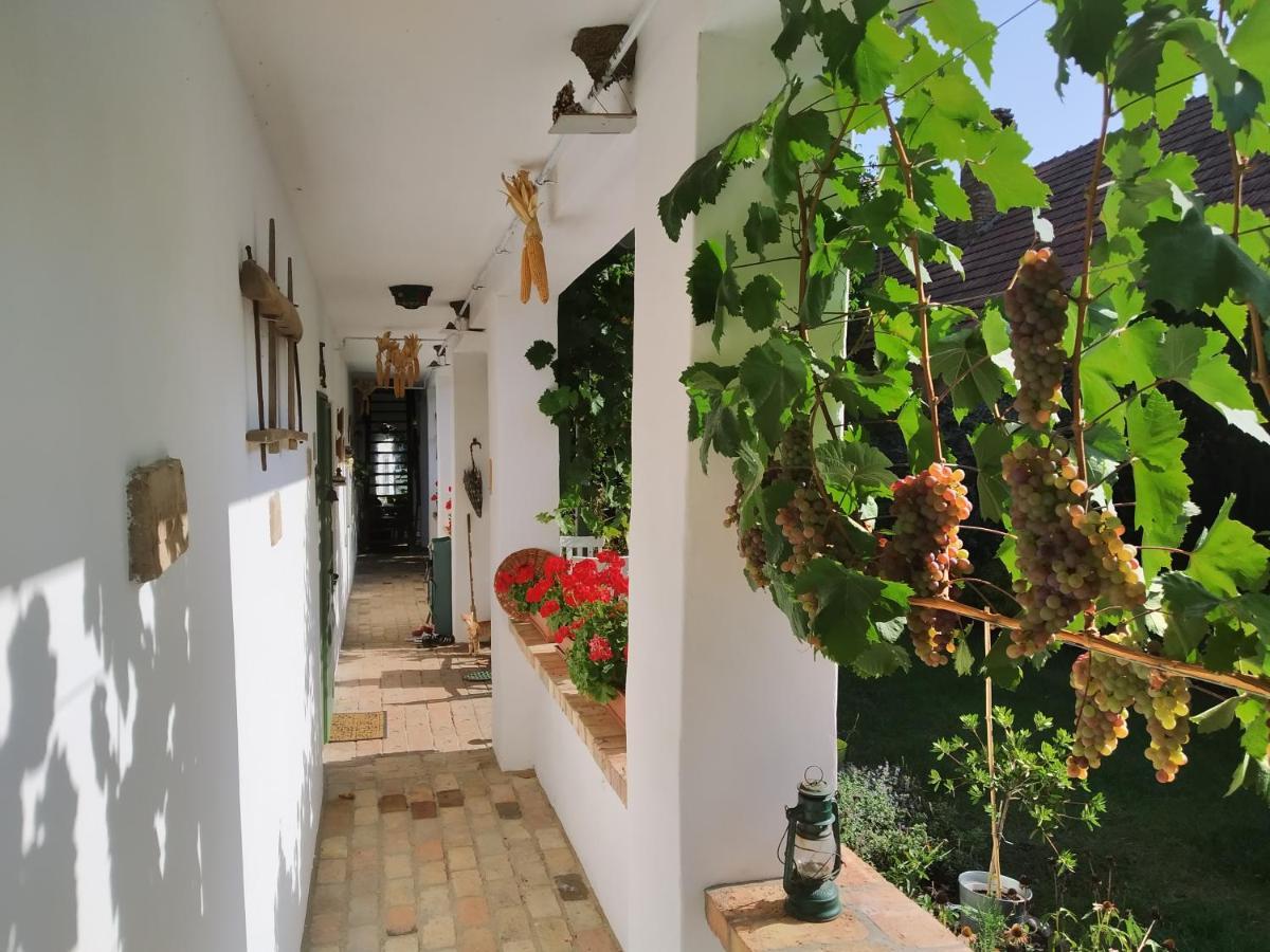Hotel Egkoris Vendeghaz Bakonyszucs Zewnętrze zdjęcie