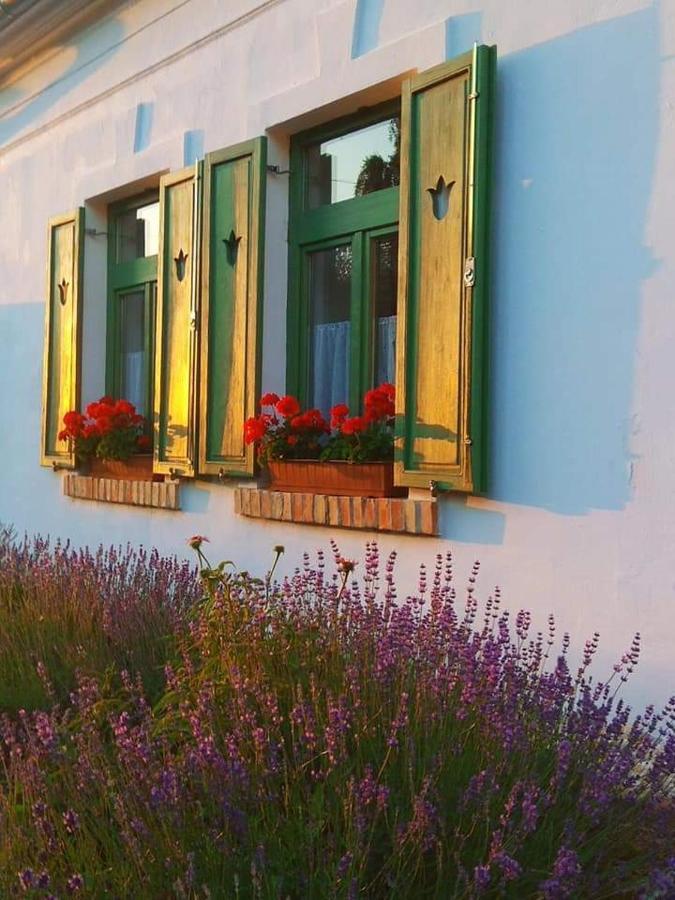 Hotel Egkoris Vendeghaz Bakonyszucs Zewnętrze zdjęcie